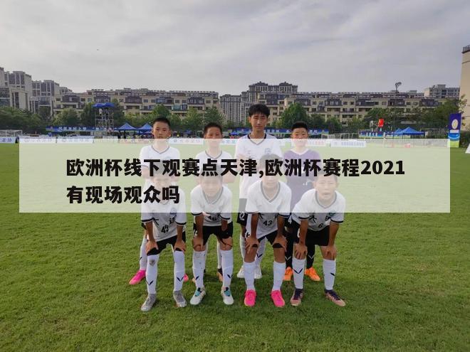 欧洲杯线下观赛点天津,欧洲杯赛程2021有现场观众吗