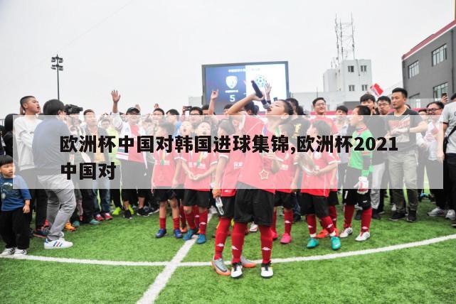 欧洲杯中国对韩国进球集锦,欧洲杯2021中国对